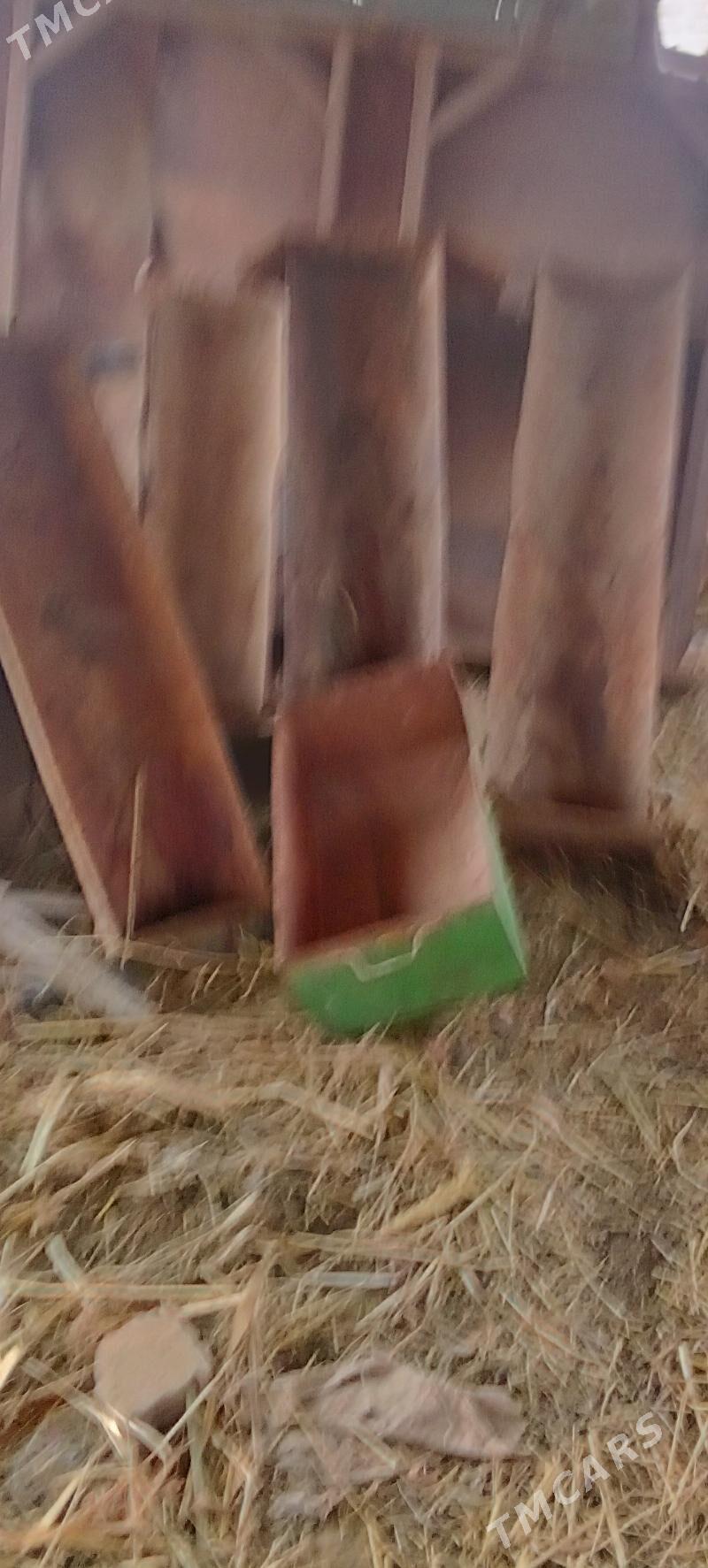 demir stol bn goýun ahyrlar - Чарджоу - img 1