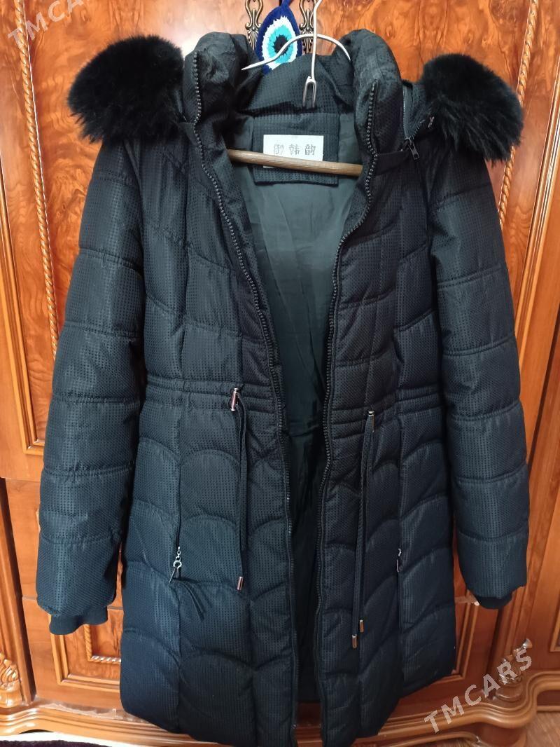 kutga - Jebel - img 1