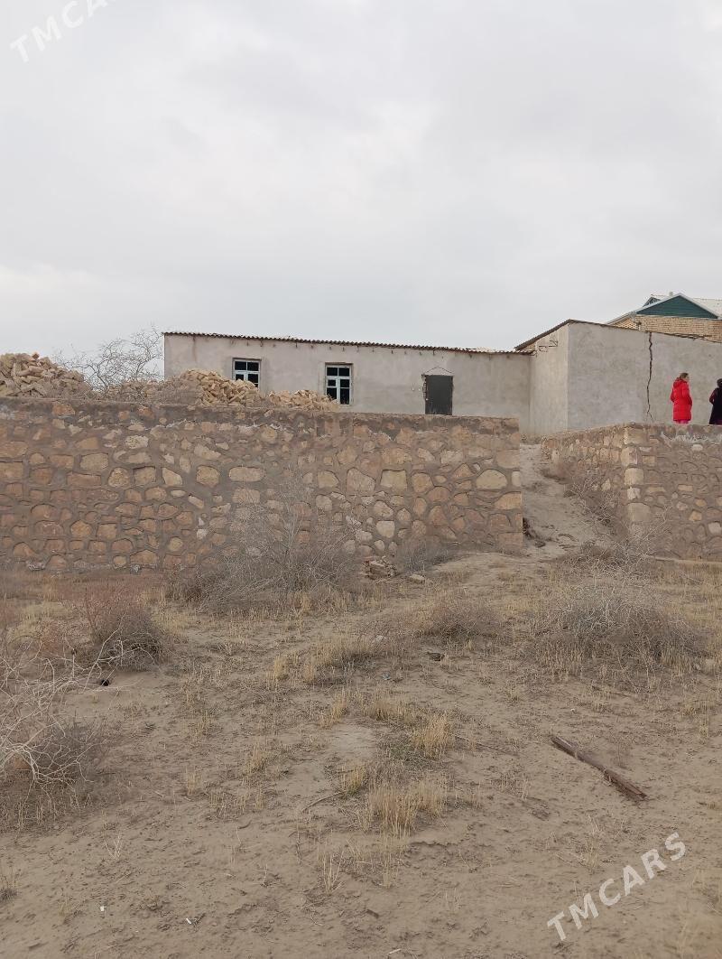 SATLYK JAY - Kerki - img 1