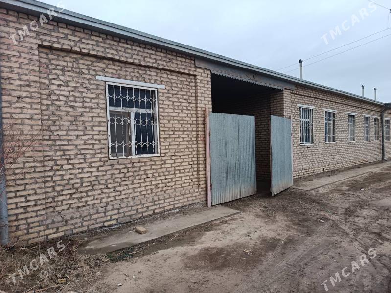 Gres jay - Мары - img 1