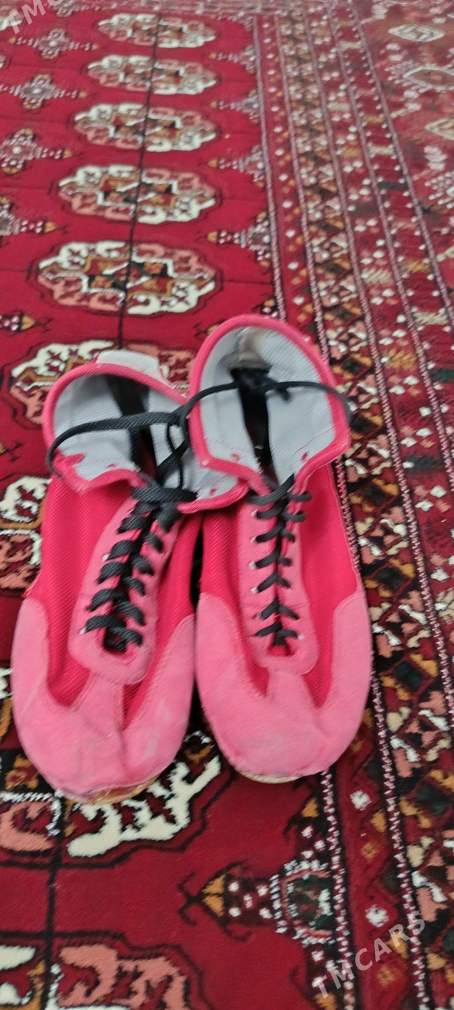 barsofka - Мургап - img 1