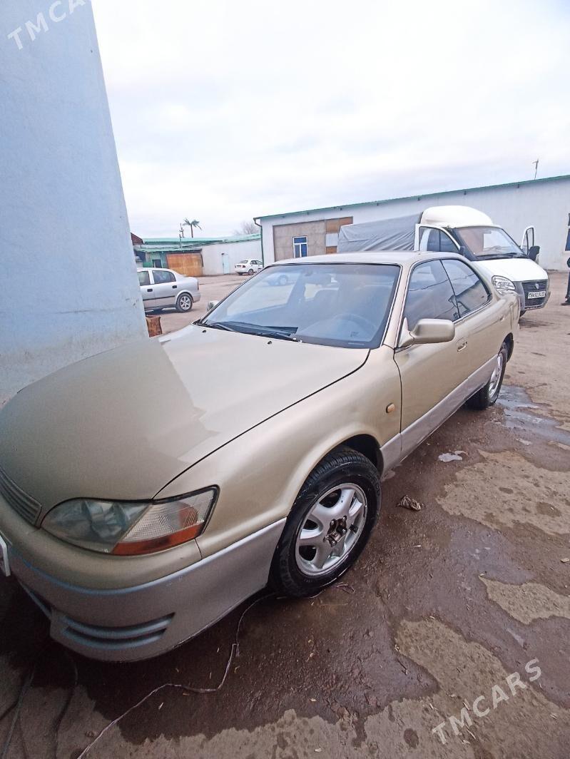 Toyota Windom 1994 - 55 000 TMT - Daşoguz - img 1