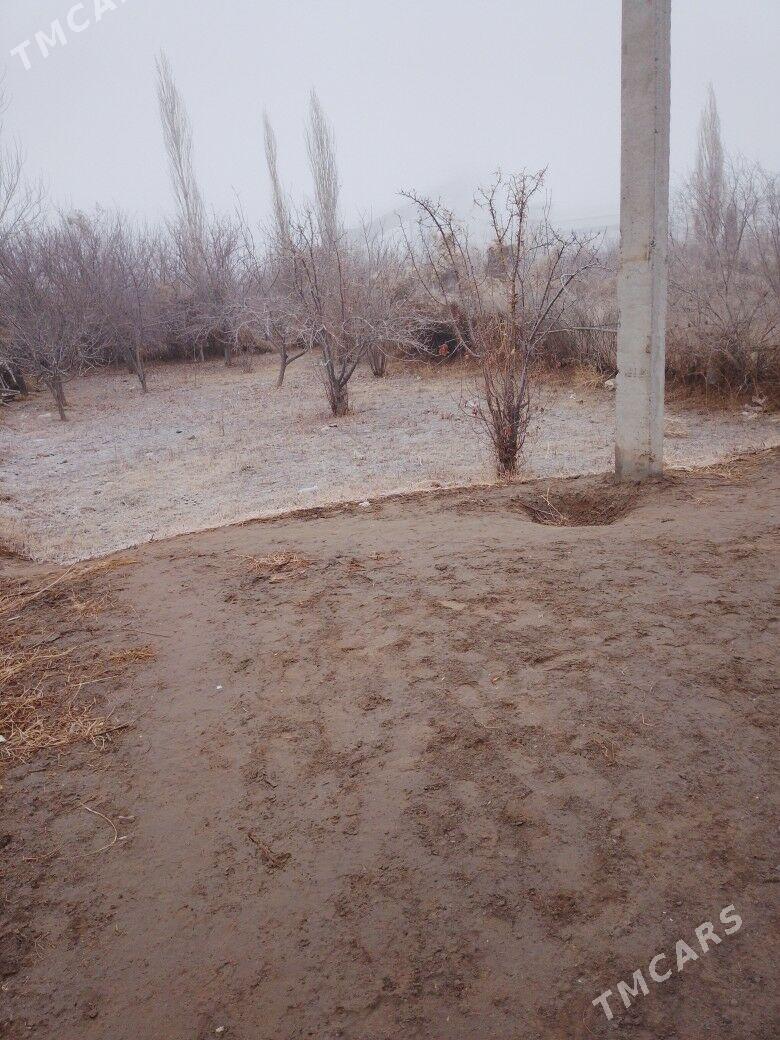 Jay - Дашогуз - img 1