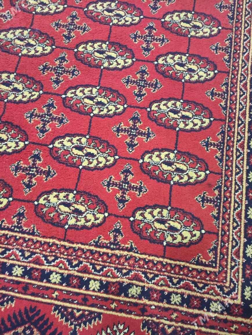 haly - Гаудан "В" - img 1