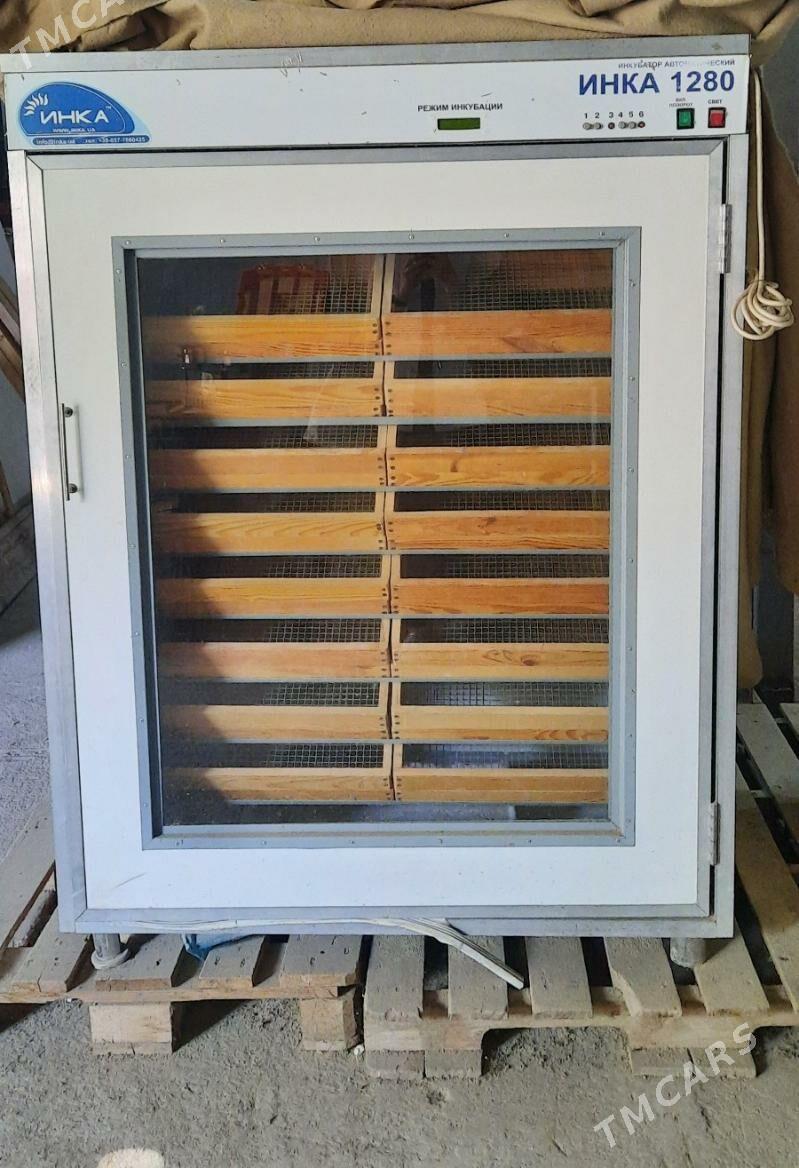 инкубаторы - Анев - img 1