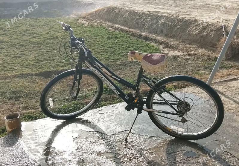 welsopet - Мары - img 1