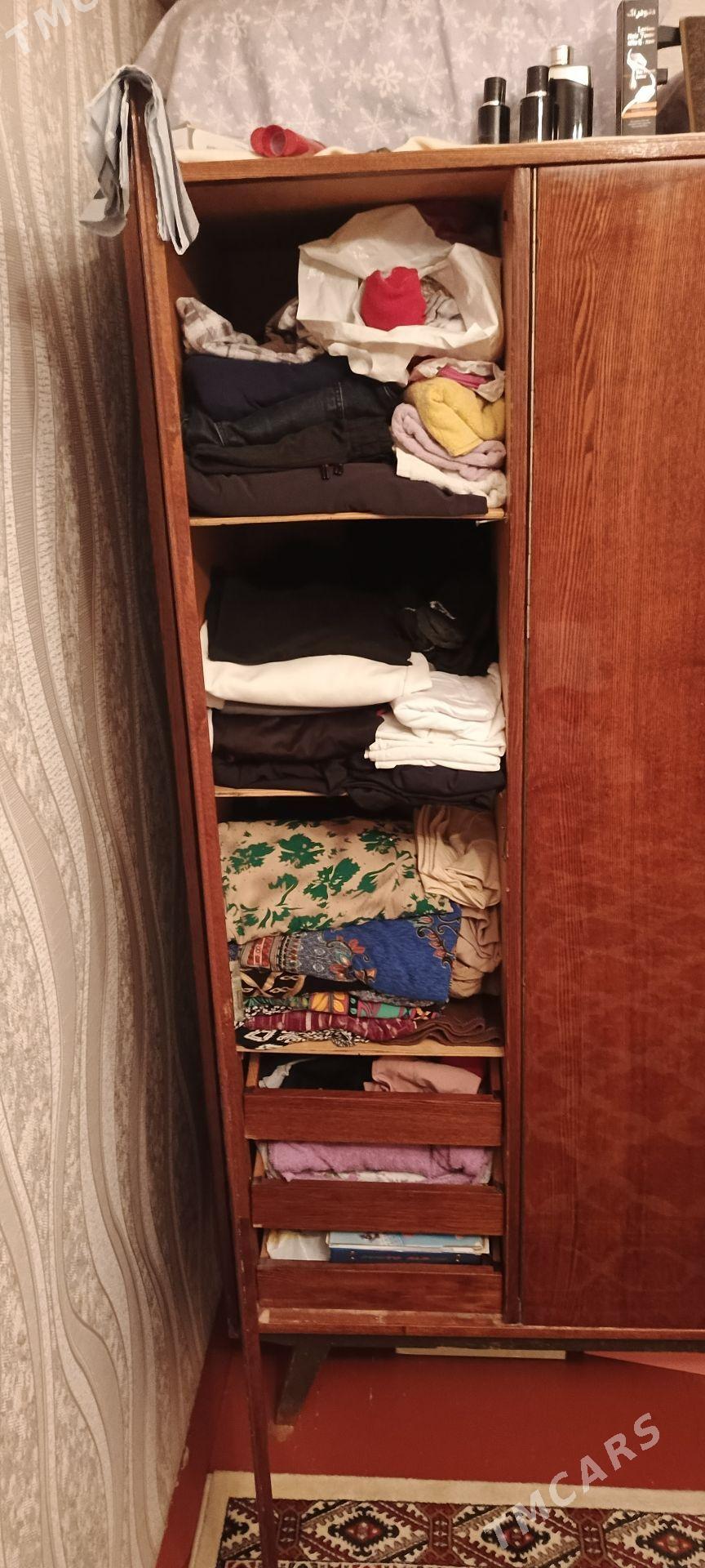 шванер - Balkanabat - img 1