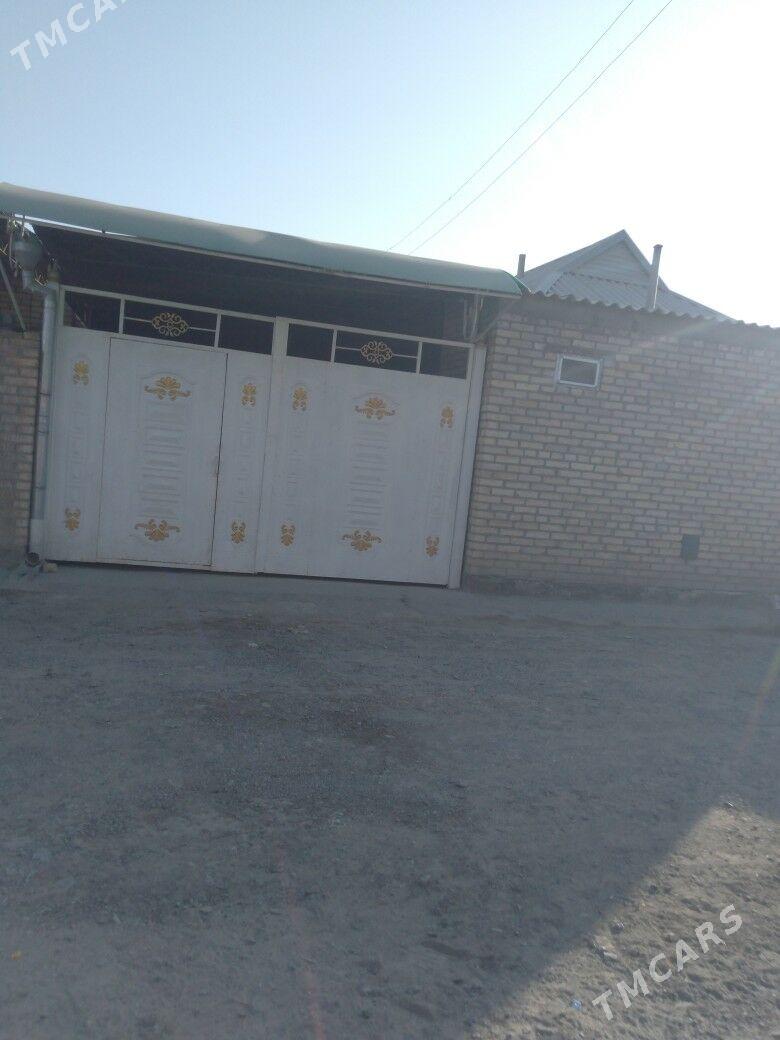 Satlyk Jay - Mary - img 1