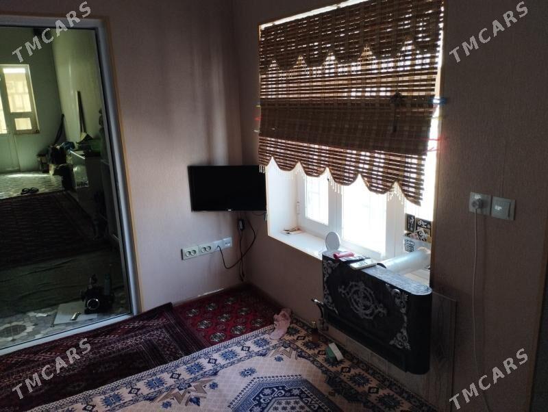 pylan jay - Balkanabat - img 1