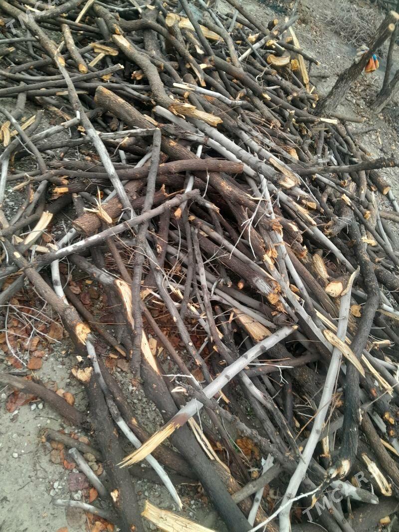 odun - Ашхабад - img 1