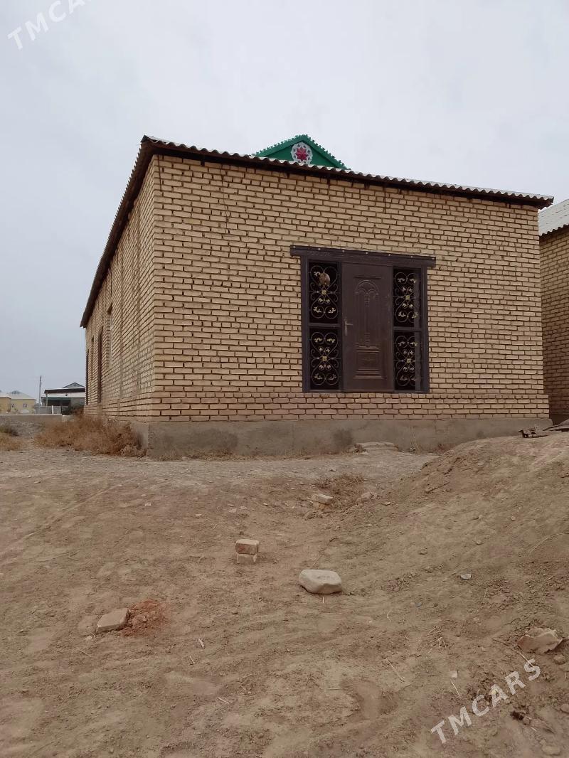 Satlyk jay - Tejen - img 1