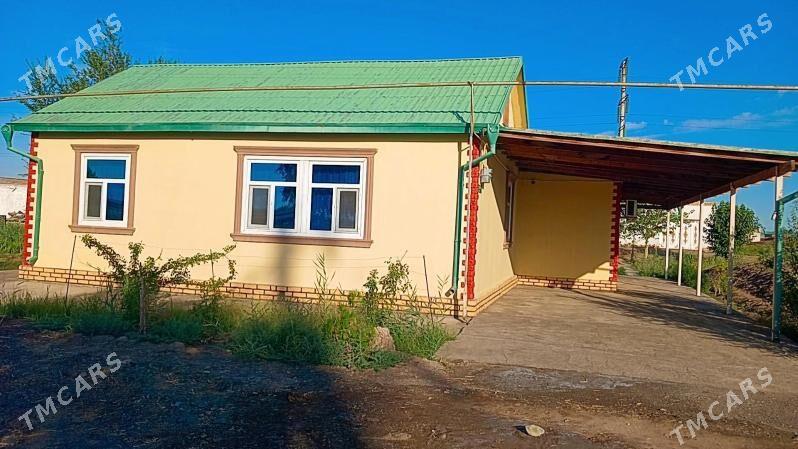 Satlyk jay - Гороглы (Тагта) - img 1