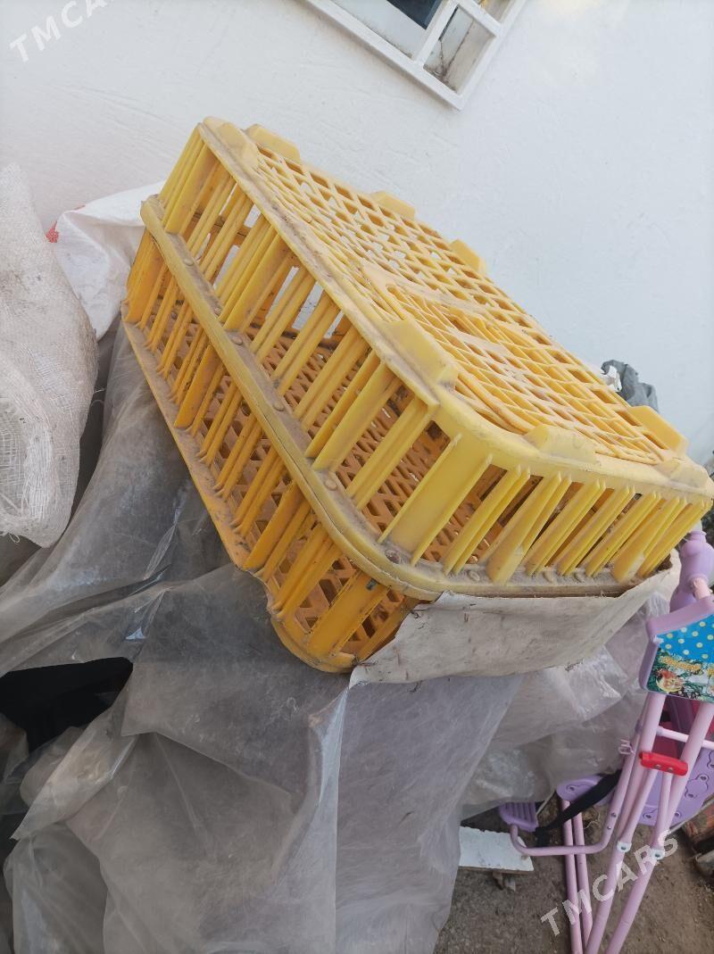 ketek jüyje towuk ucin - Балканабат - img 1