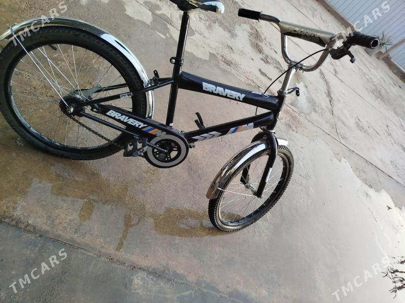 welisoped,tigir - Мары - img 1