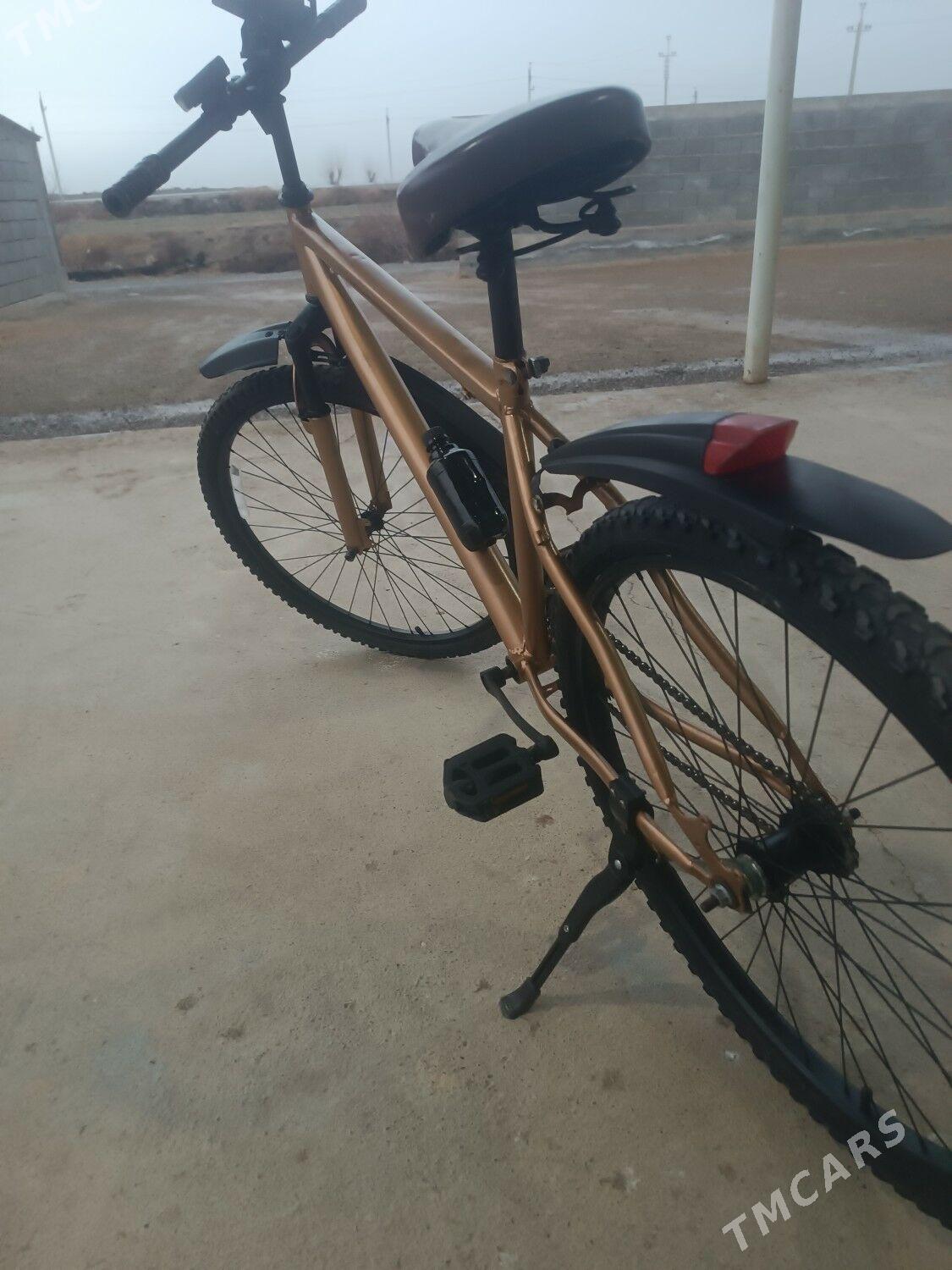 Türkmenistan tigir - Гёкдепе - img 1