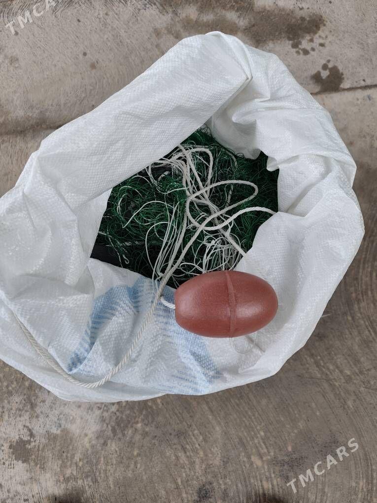 Сплавная Сетка - Мары - img 1