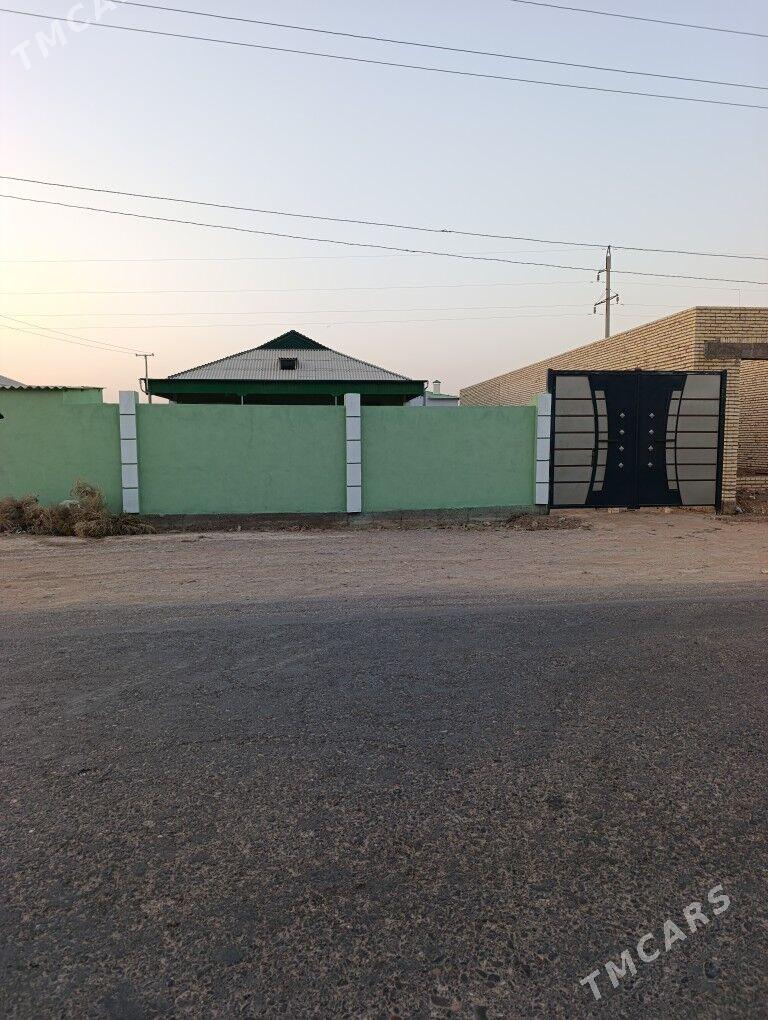 Planawoy jay - Sarahs - img 1