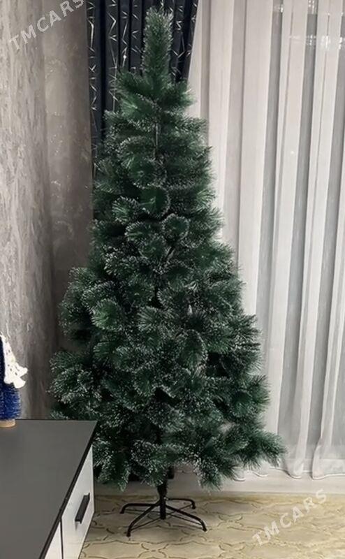 Satlyk yolka tazeje - Balkanabat - img 1