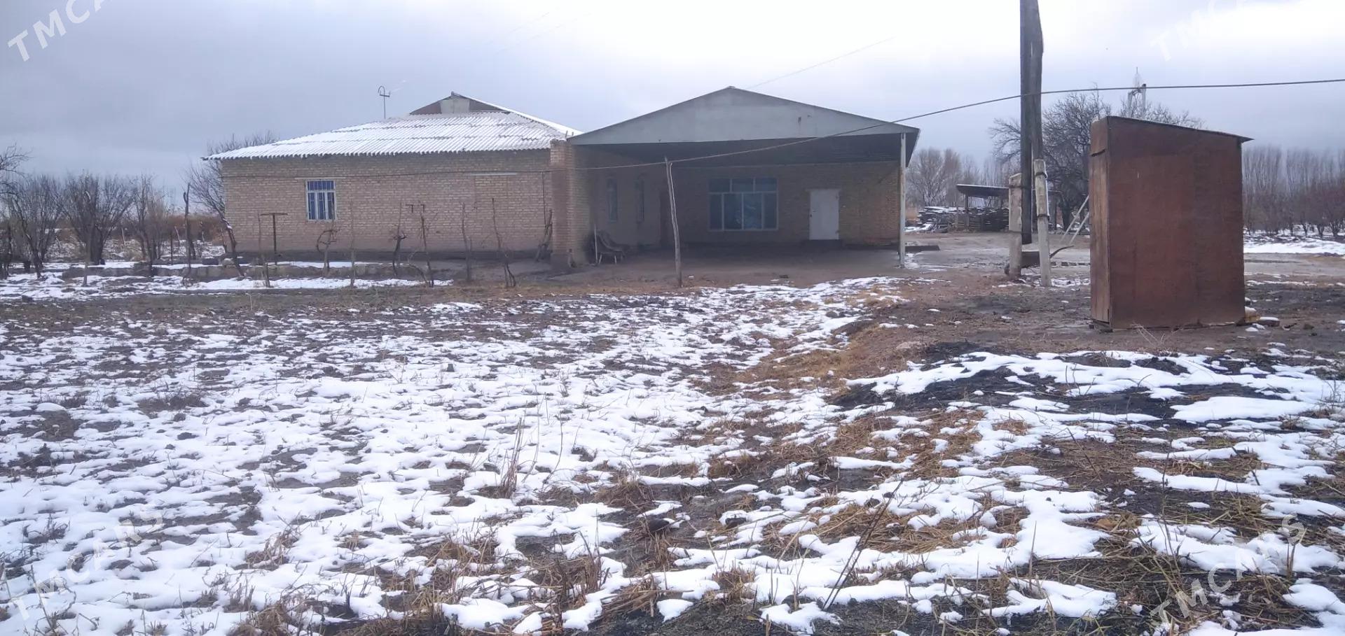 Plan jay - Ходжамбаз - img 1