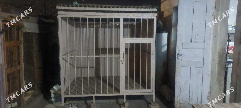 it ketek - Гызыларбат - img 1