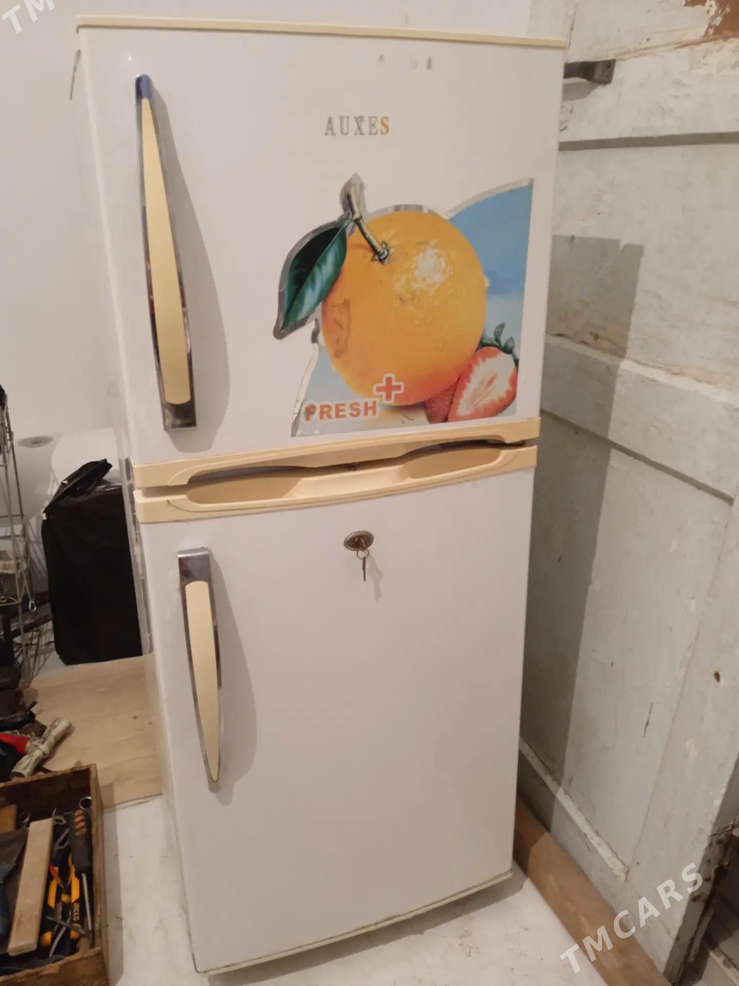 Holadelnik - Туркменабат - img 1