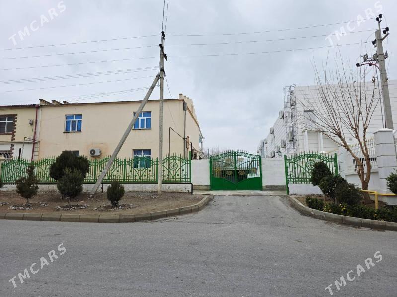 Änew satlyk kotež eýesinden - Änew - img 1