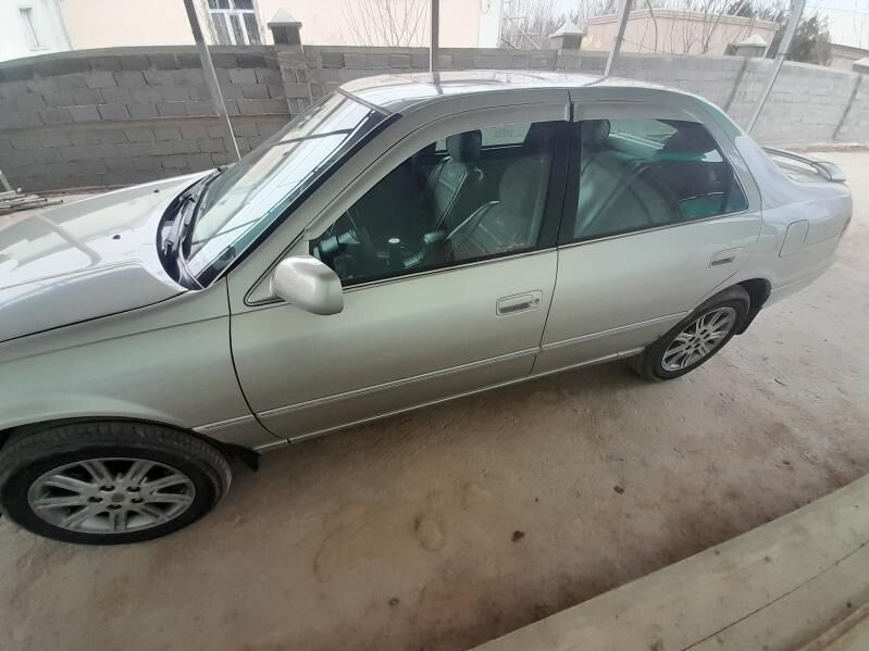 Kazirok Babyçko 400 TMT - Gurbansoltan Eje - img 1