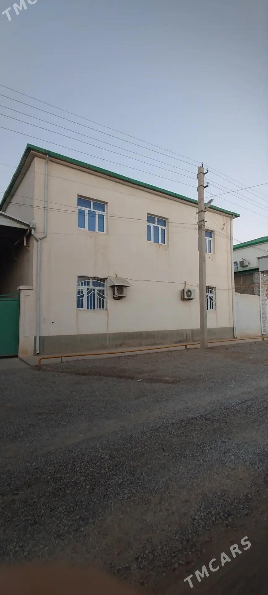 Katež jaý tejen - Tejen - img 1