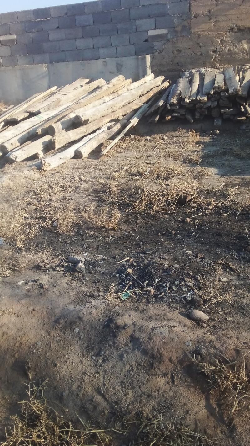 agac - Гызыларбат - img 1