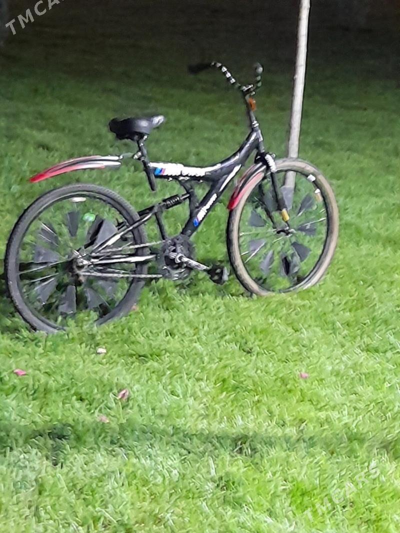 tigir - Гаудан "В" - img 1