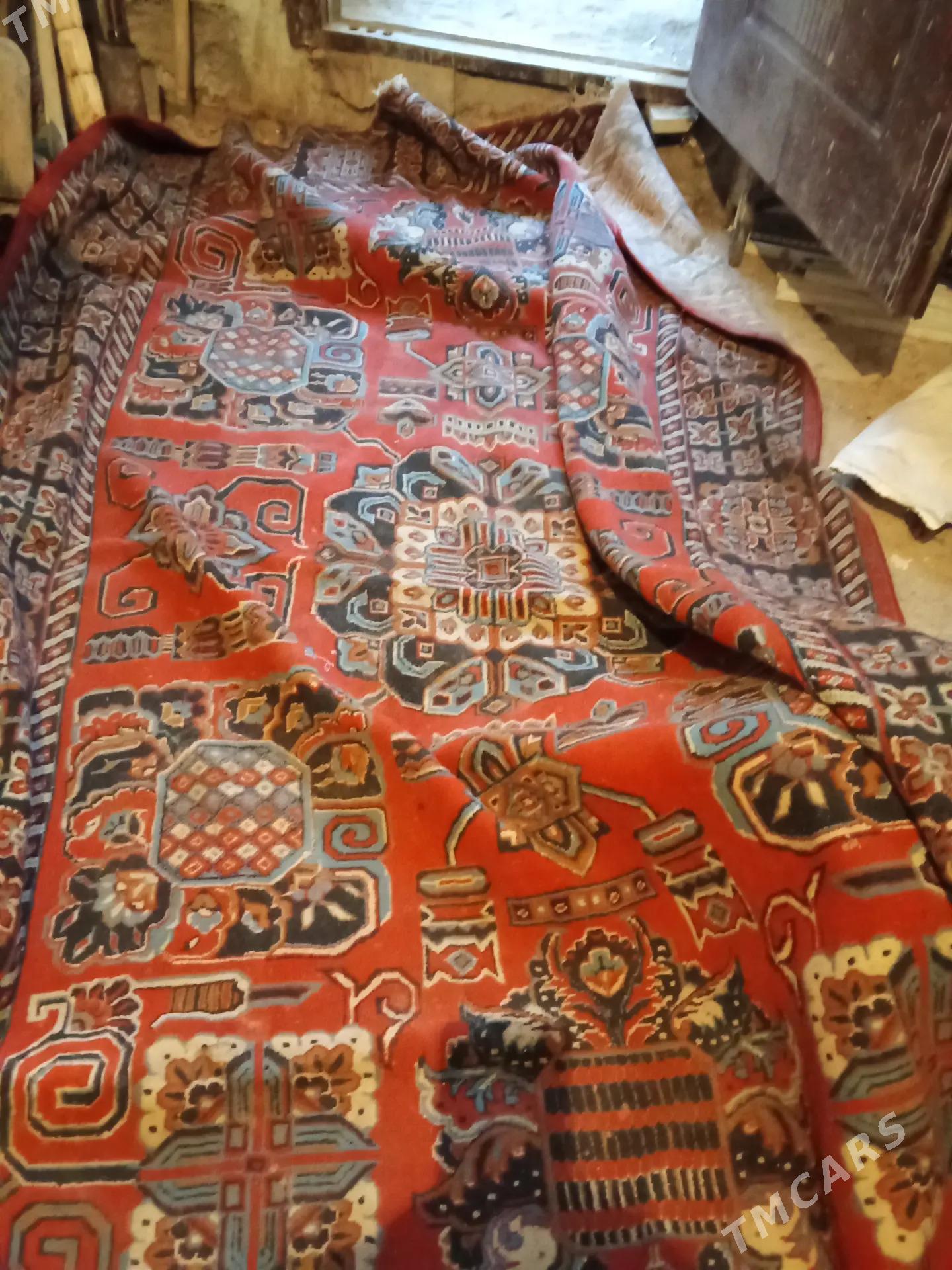 palas - Мир 7 - img 1