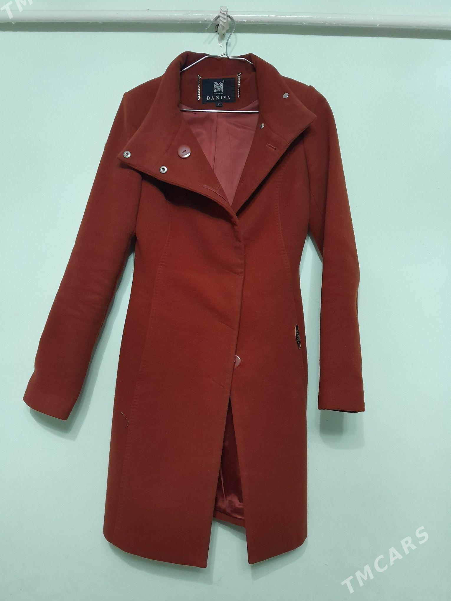 Palto - Дашогуз - img 1