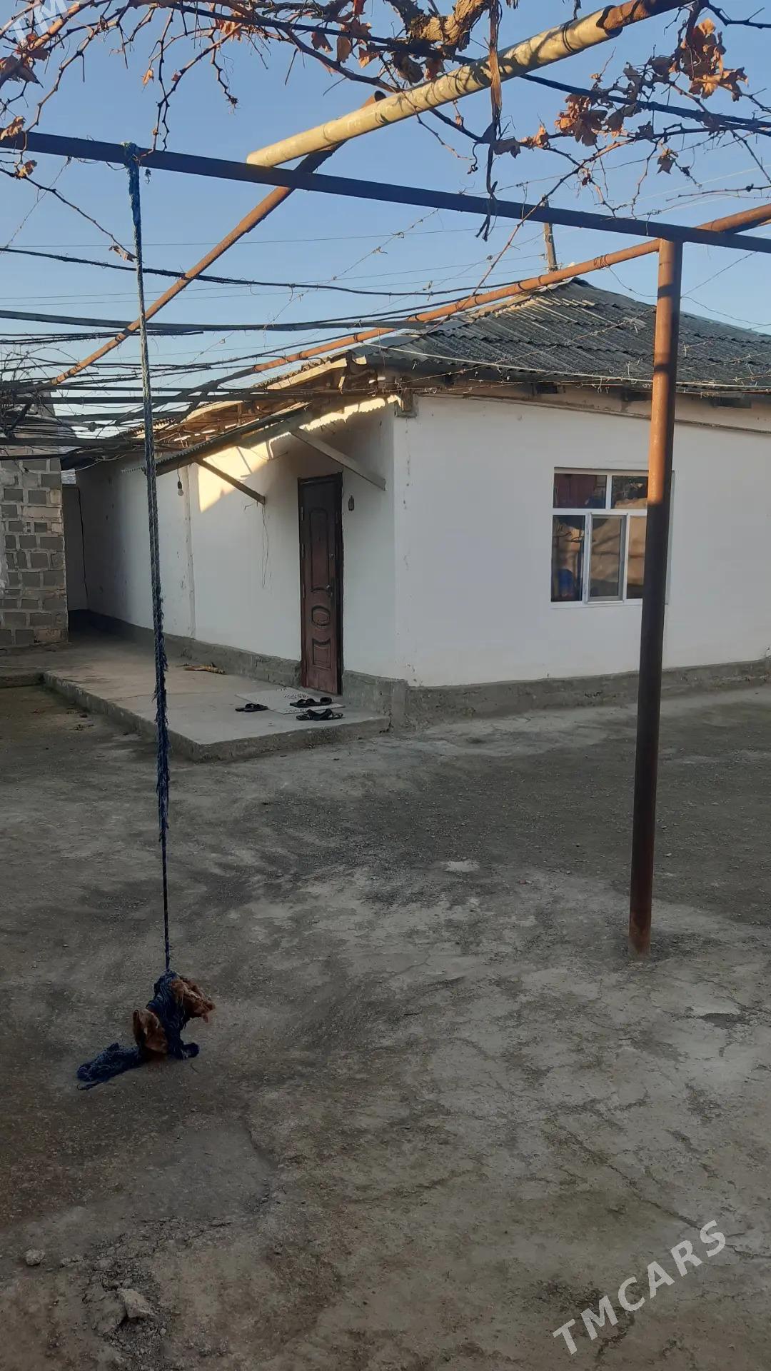 Satlyk jay Garrygala - Magtymguly - img 1