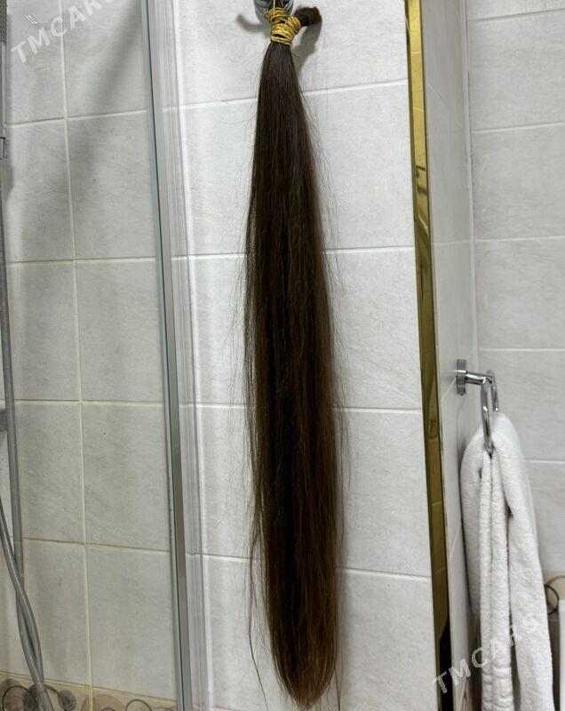 SAC - Aşgabat - img 1