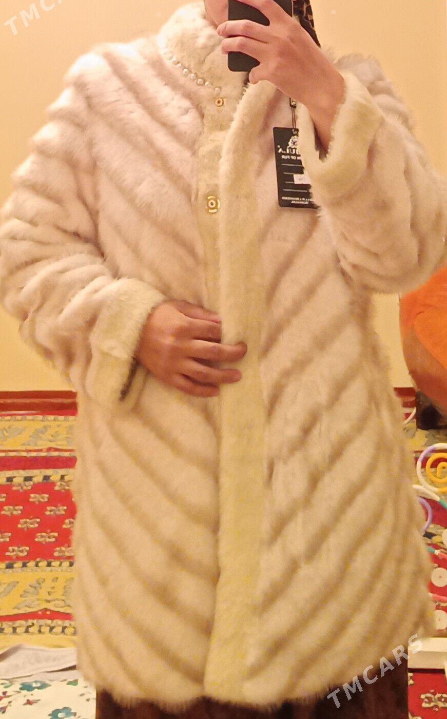 ak shuba taze - Änew - img 1