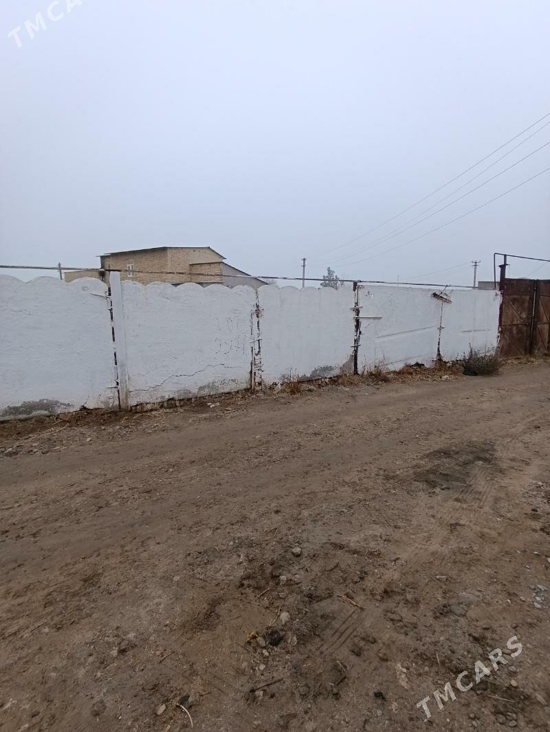 Satlyk DACA - Türkmenabat - img 1