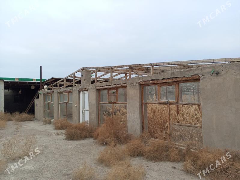 arenda ferma - Шабатский этрап - img 1