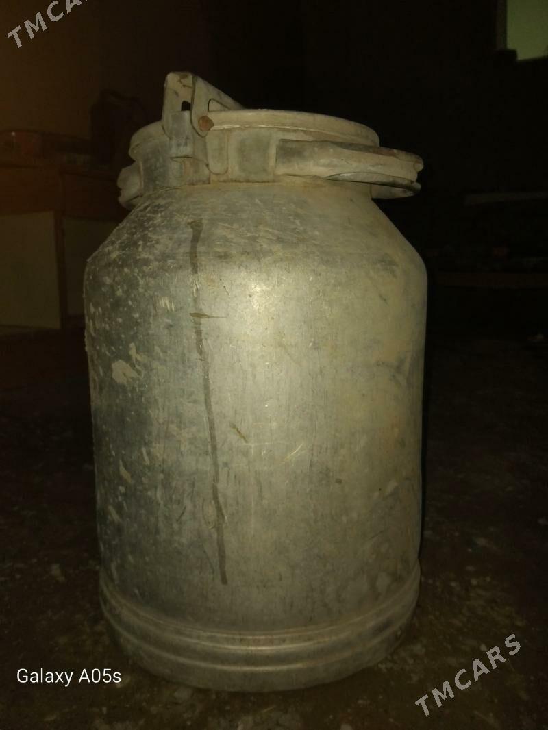 plýaga - Чоганлы - img 1