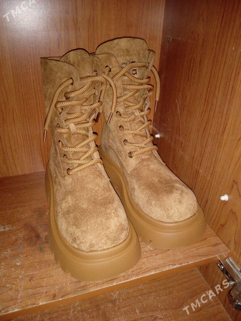 adik - Daşoguz - img 1