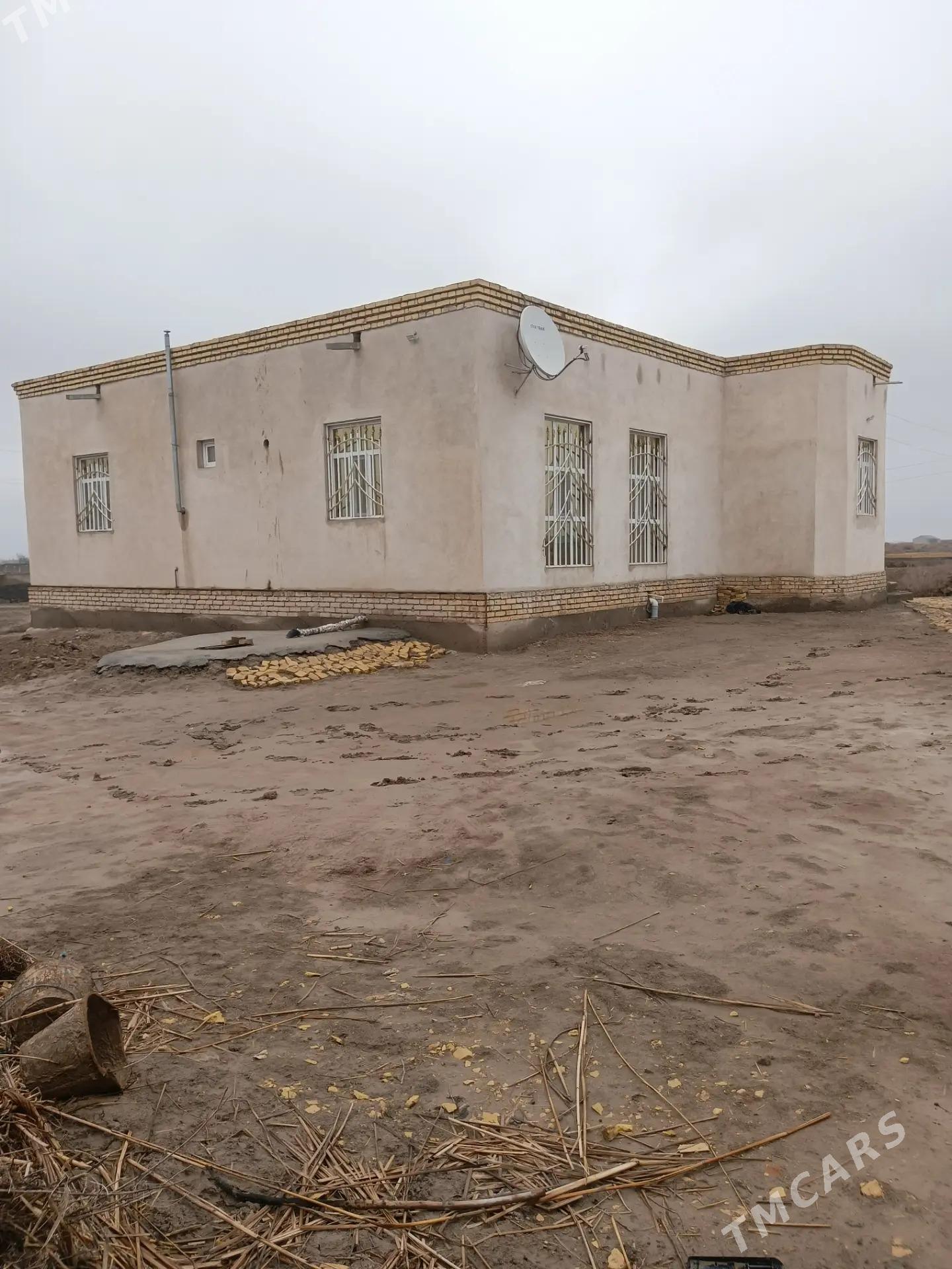 satlyk jay - Gurbansoltan Eje - img 1