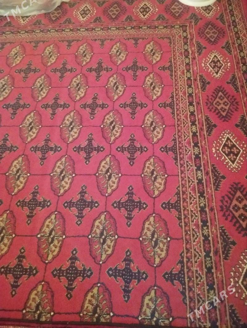 haly - Parahat 7 - img 1