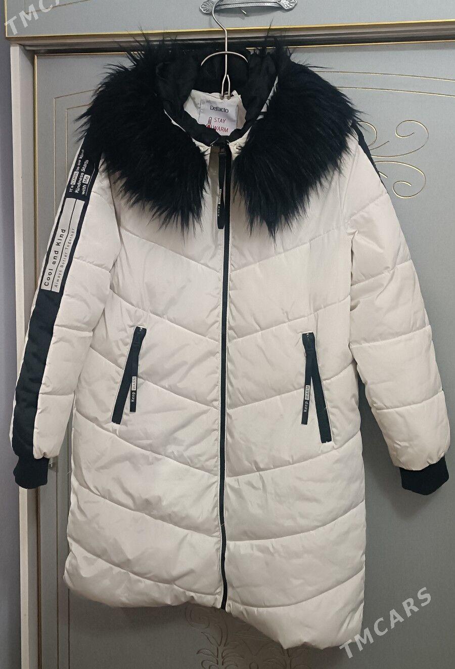 kurtka jempir jaket - Daşoguz - img 1