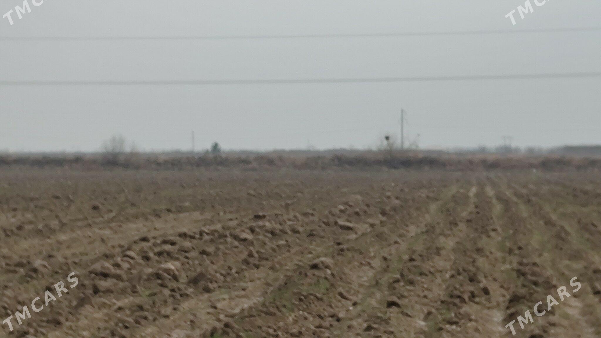 Satlyk mellek yer - Baýramaly - img 1