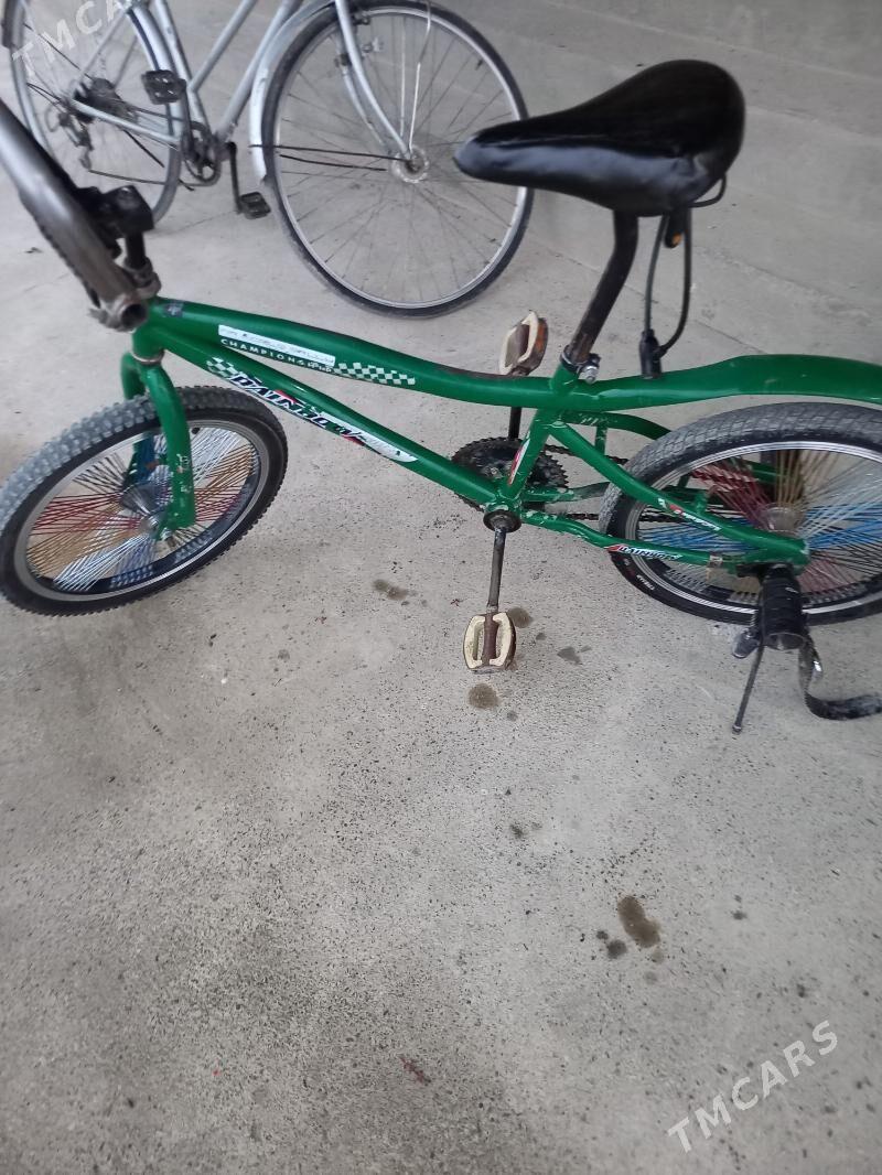 Tigir welsoped - Gökdepe - img 1