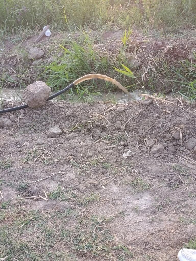 Guýy Gazyas - Bäherden - img 1