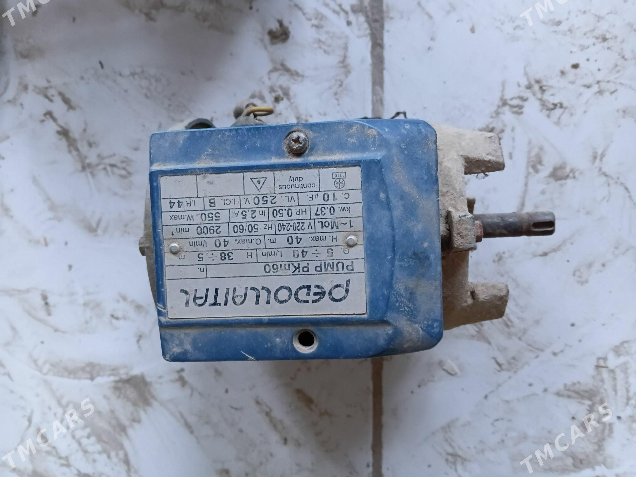 nasos - Mary - img 1