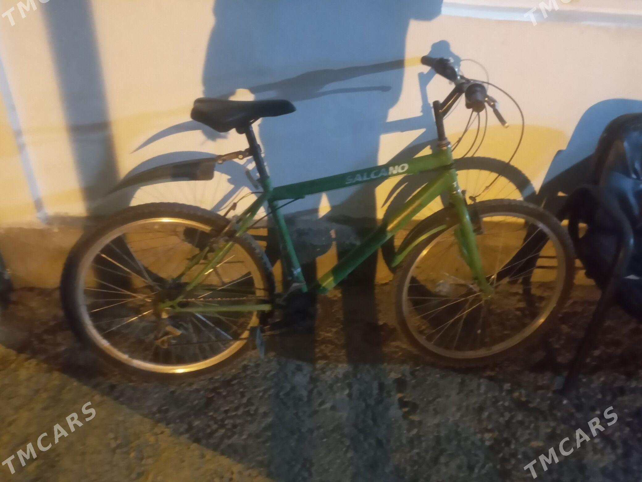 tigir - Büzmeýin - img 1