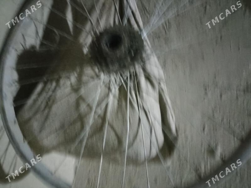 Tigir - Бахарден - img 1