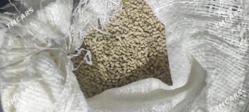 Iym - Туркменбаши - img 1