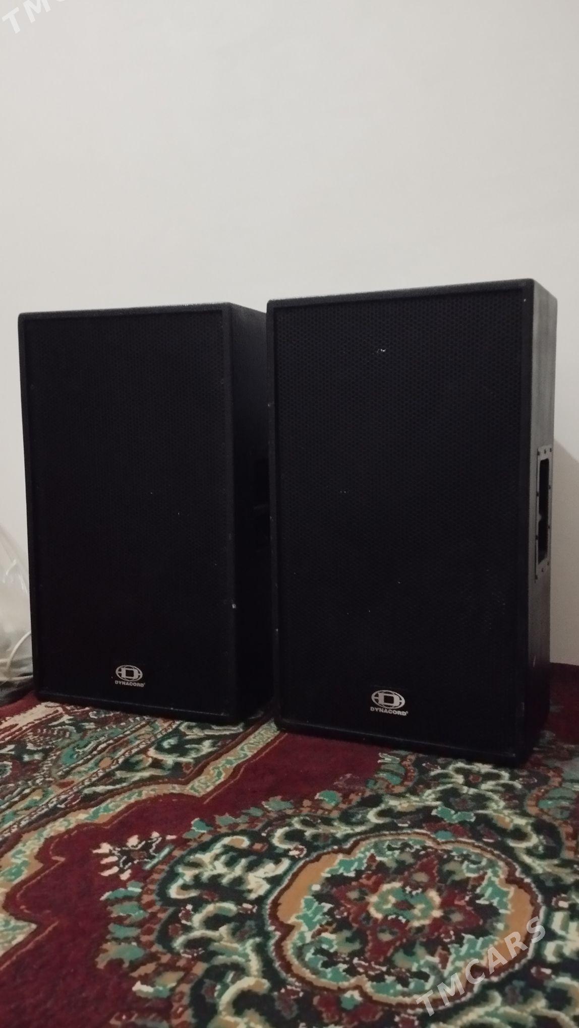 Dynacord Kalonka kanes - Мары - img 1